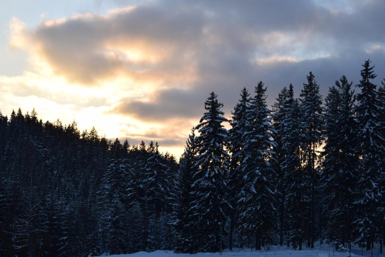 Apartmán Grand V Centru Harrachov