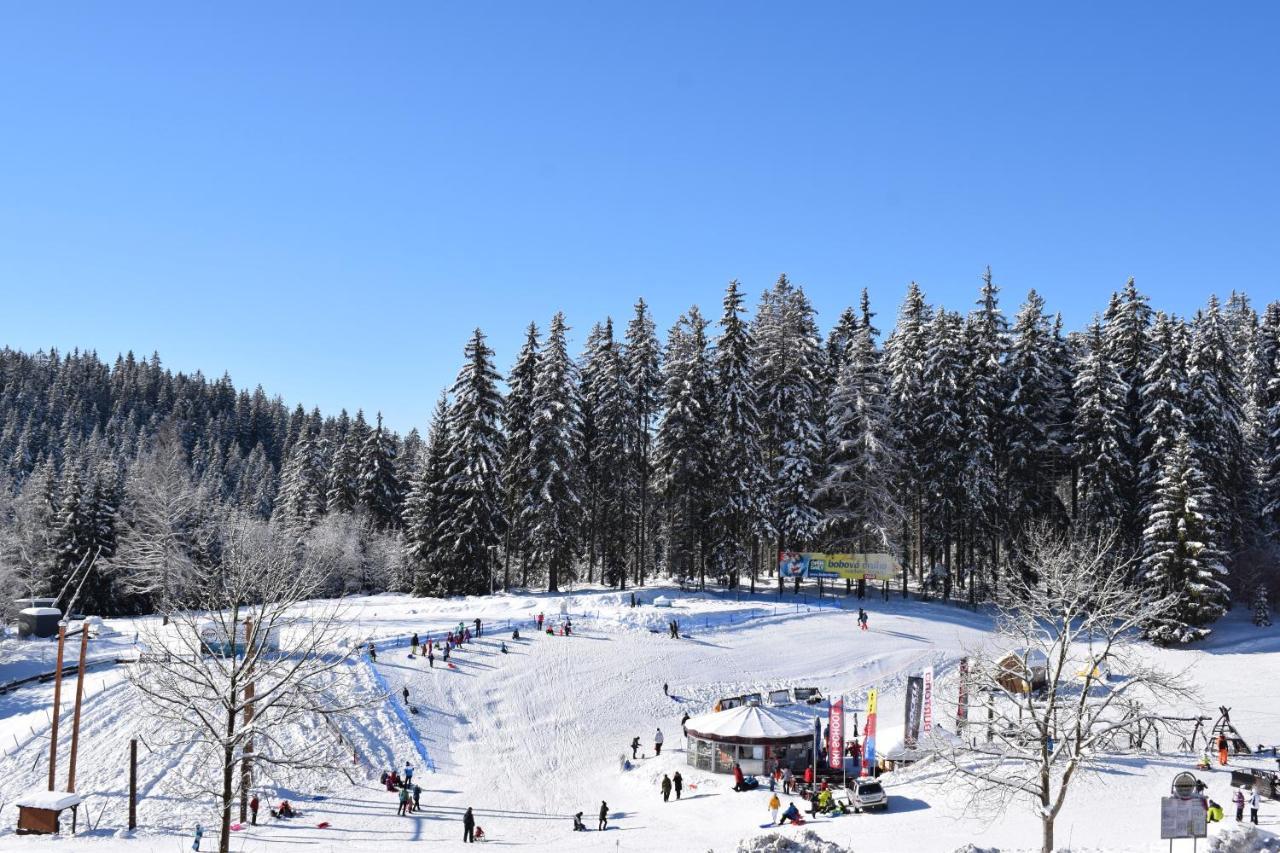 Apartment Grand V Centru Harrachov
