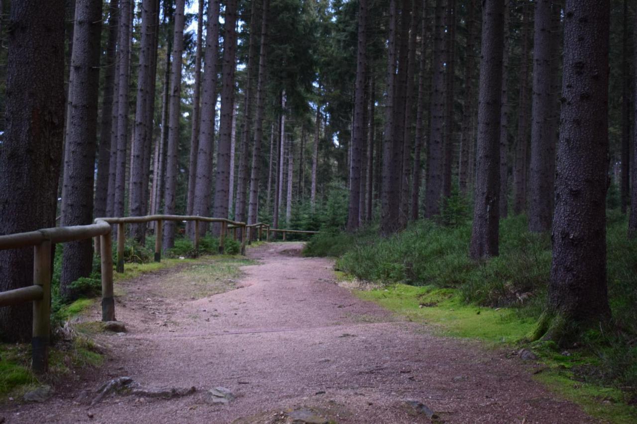 Apartmán Grand V Centru Harrachov