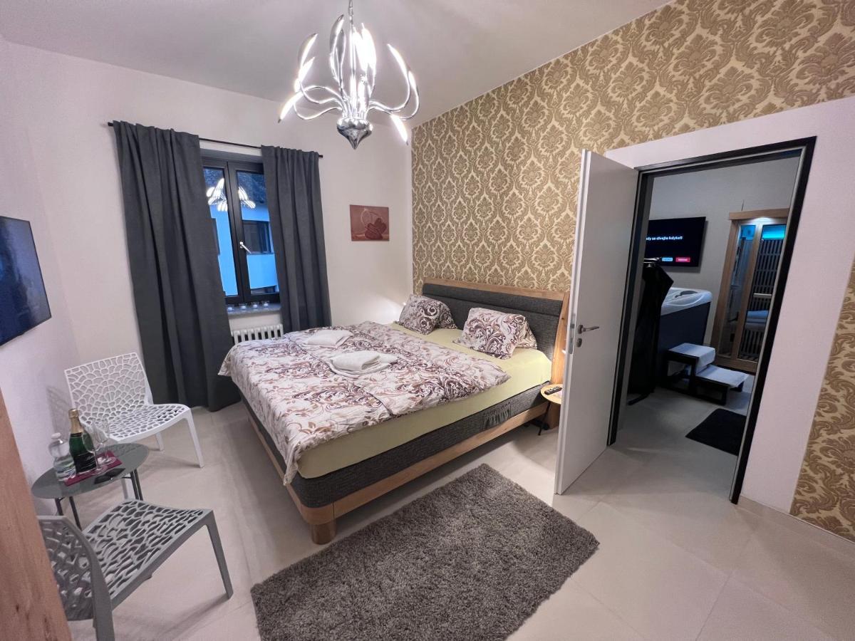 Apartment Grand V Centru *